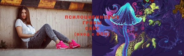 Альфа ПВП Алзамай