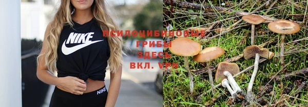 кокаин премиум Алексеевка